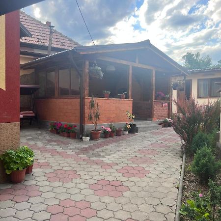 ホテル Casa Flori Călimăneşti エクステリア 写真